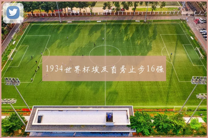 1934世界杯埃及首秀止步16强
