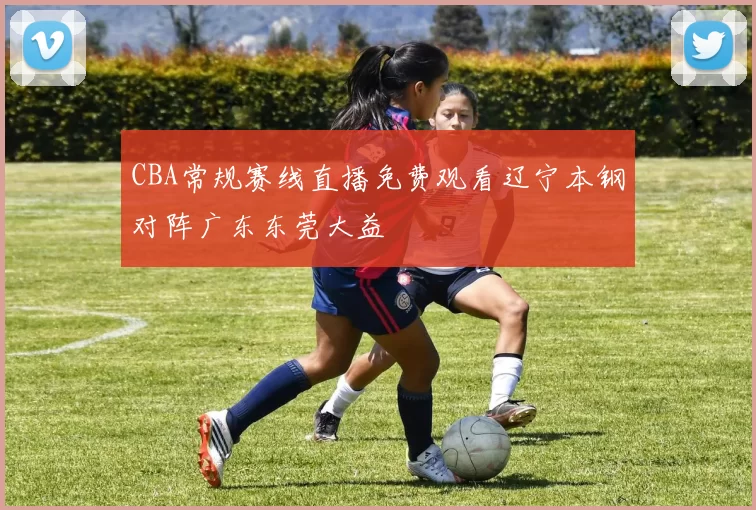 CBA常规赛线直播免费观看辽宁本钢对阵广东东莞大益