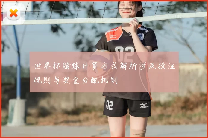 世界杯赌球计算方式解析涉及投注规则与奖金分配机制