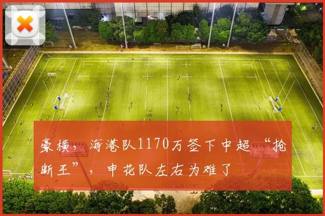 豪横,海港队1170万签下中超 “抢断王”,申花队左右为难了