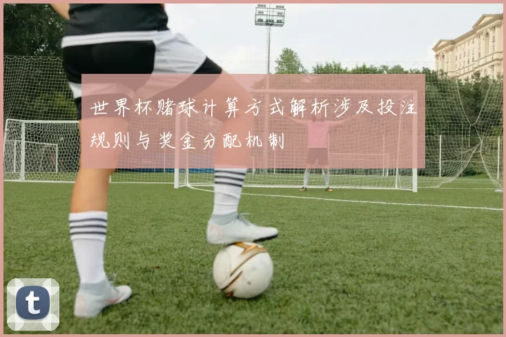 世界杯赌球计算方式解析涉及投注规则与奖金分配机制