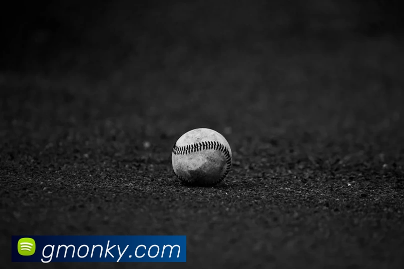 星空网官方登录服务体系